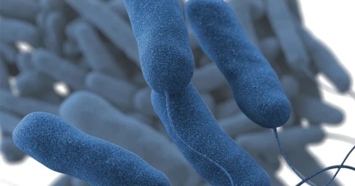 Surto de Legionella deixa cinco mortos e 89 doentes em Nova York