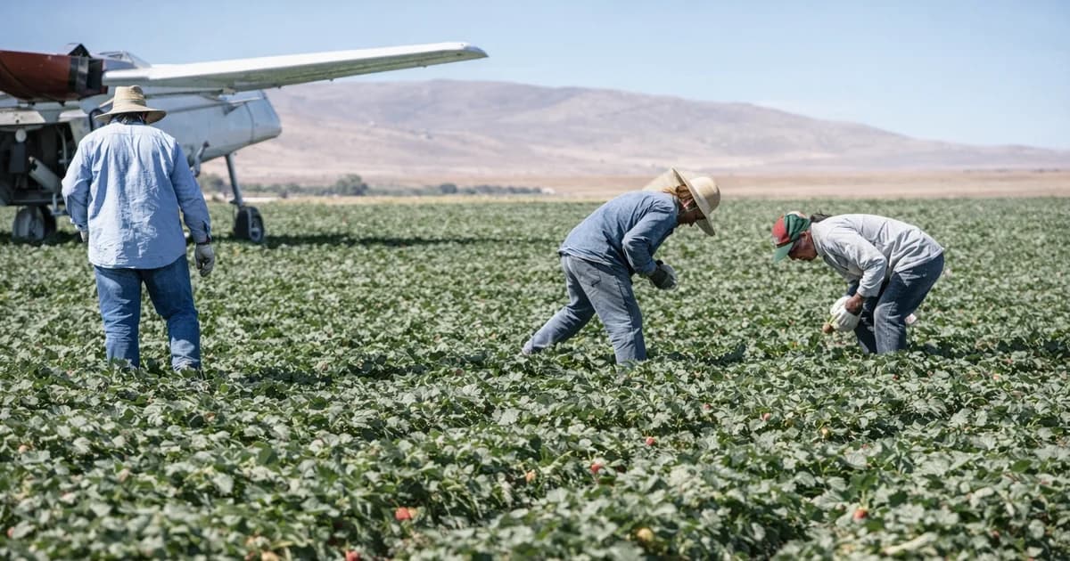 EUA facilitam contratação de trabalhadores estrangeiros no campo e ampliam uso do visto H-2A