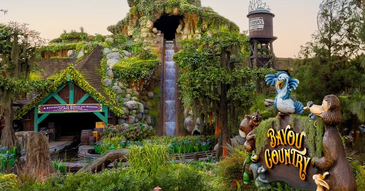 Adolescente sai de atração da Disney e caso vira alerta para pais nos parques
