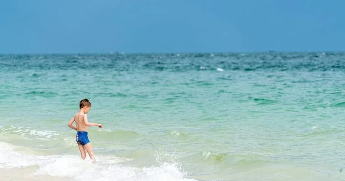 Flórida alerta para bactéria rara em praias e frutos do mar